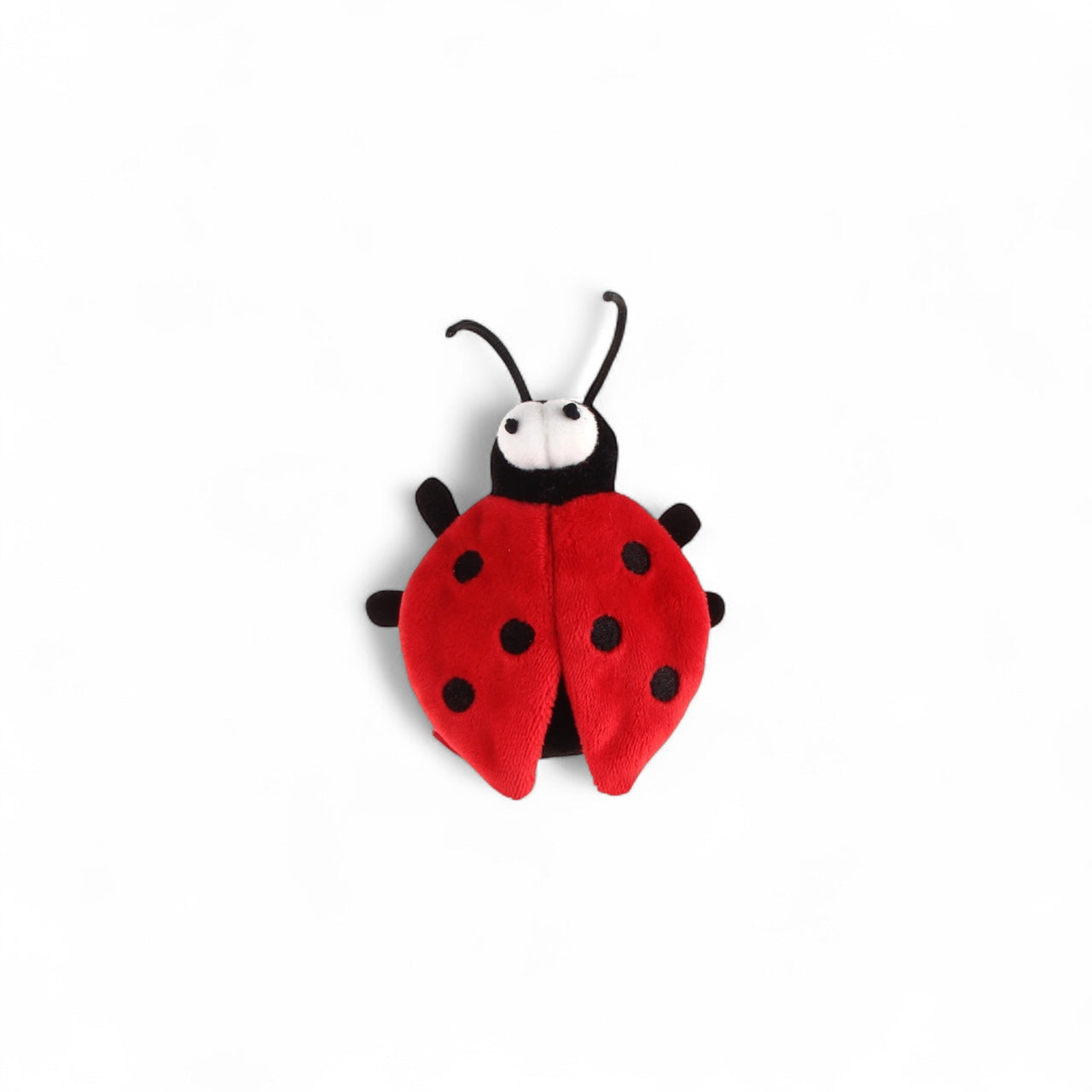 Escarabajo Gigwi