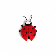 Escarabajo Gigwi